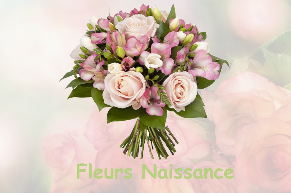 fleurs naissance PERS-EN-GATINAIS